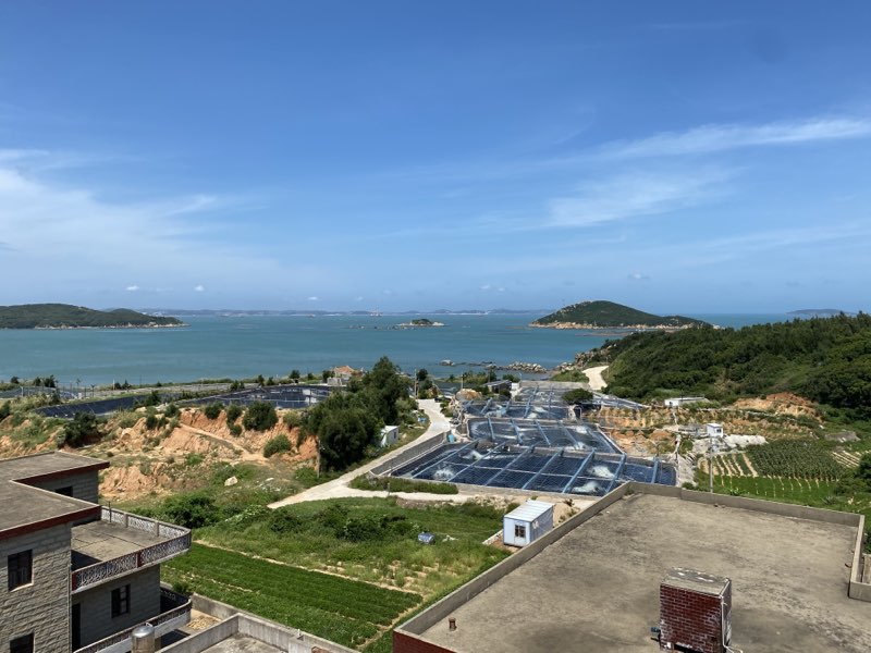 廈理學(xué)子三下鄉(xiāng)實(shí)踐報告：品味“海亮”發(fā)展成果，見證鄉(xiāng)村