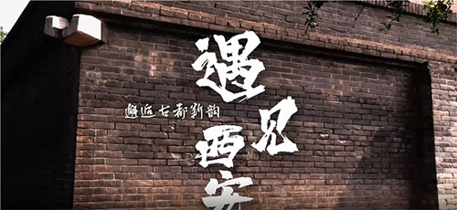 南昌大學“尋歷史文脈，踐文明新風”實踐隊赴西安開展社會實踐