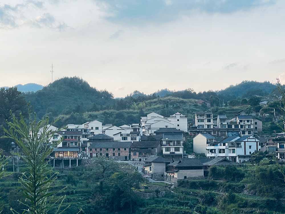 暑期社會(huì)實(shí)踐·大學(xué)生助力鄉(xiāng)村米酒，把酒賣到“云上”去
