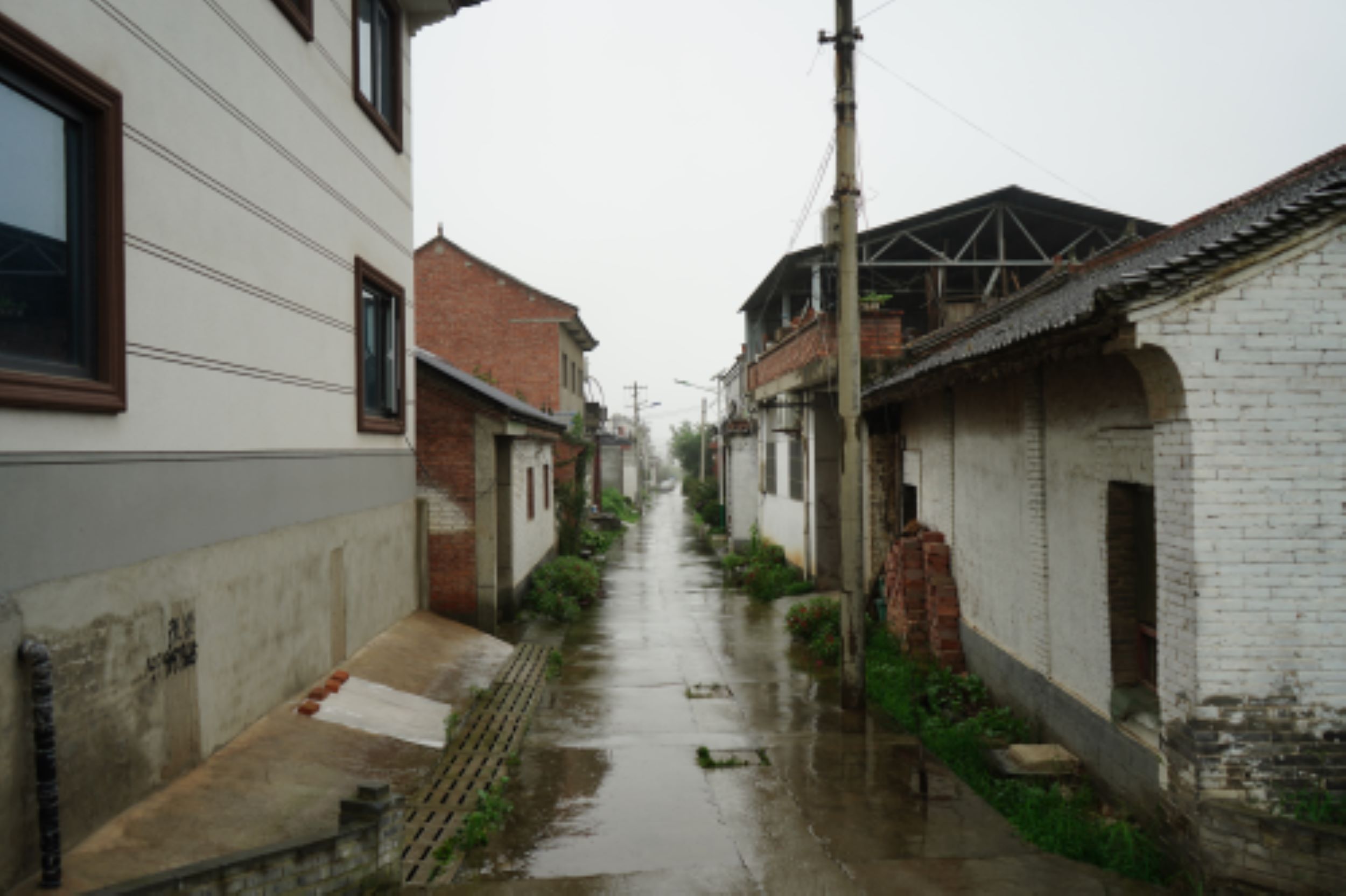 "胡劉村雨中尋紅色，長安隊(duì)心間續(xù)薪火"