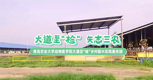 大道至簡(jiǎn)，三農(nóng)情牽：青島農(nóng)業(yè)大學(xué)動(dòng)物醫(yī)學(xué)院鄉(xiāng)村振興實(shí)踐服務(wù)團(tuán)走訪養(yǎng)殖天地