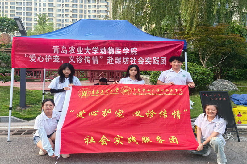 青島農(nóng)業(yè)大學(xué)“愛心護(hù)寵，義診傳情”社會實踐服務(wù)團：攜手共筑愛寵家園 并肩共繪和諧