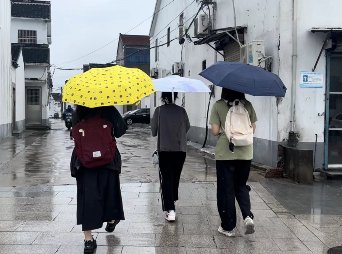 南財學(xué)子三下鄉(xiāng)：青衿之志篤行遠(yuǎn)，智匯土地賦新能