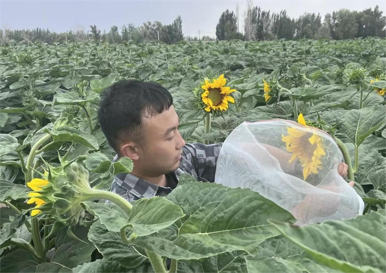胡楊校友訪談—星光不負(fù)趕路人，時(shí)光厚愛追夢(mèng)人