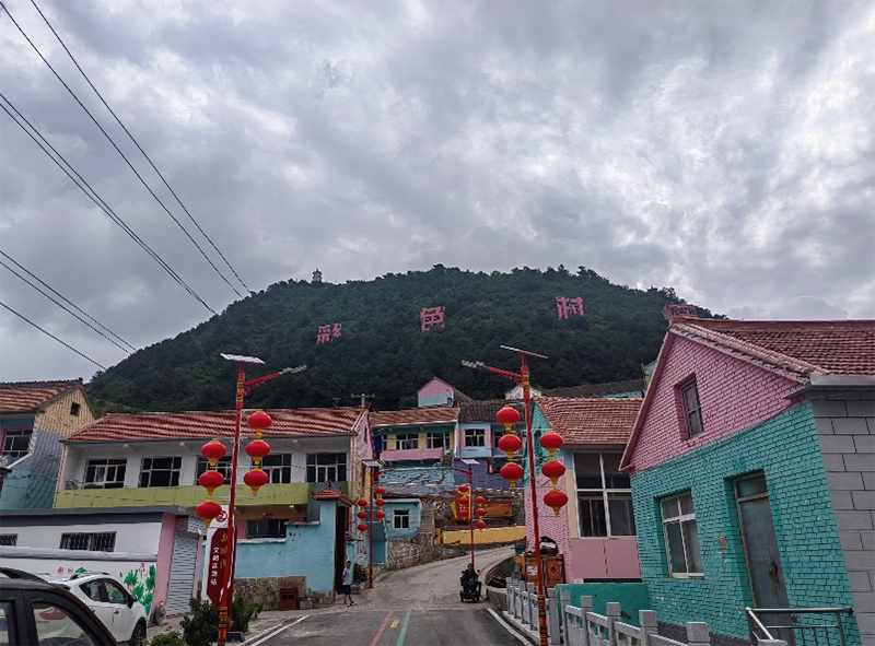 七彩村莊煥發(fā)新生機(jī)，連翹產(chǎn)業(yè)助力鄉(xiāng)村振興