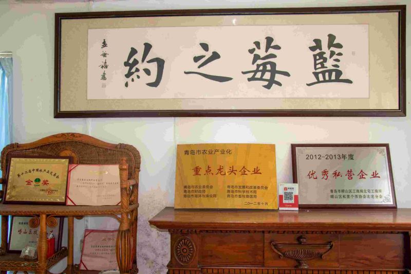 中國石油大學(xué)（華東）致遠(yuǎn)實(shí)踐隊(duì)赴藍(lán)莓園開展調(diào)研