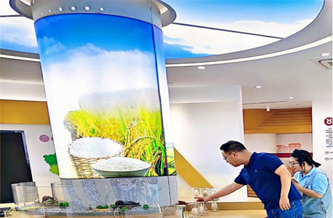 南京曉莊學院行知稻作研究團隊：深入武進水稻研究所，探尋水稻農(nóng)業(yè)科技發(fā)展之路