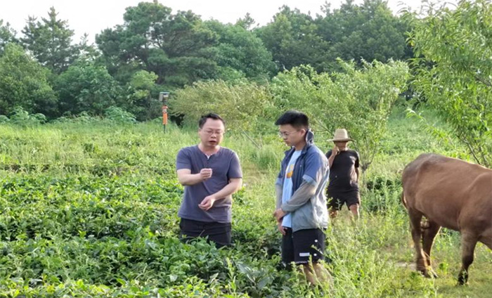筆耕鄉(xiāng)土察民情，躬身入局謀振興