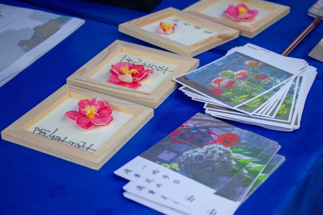 青春繪夢非遺韻：廣陵學(xué)子重綻通草花文化芳華