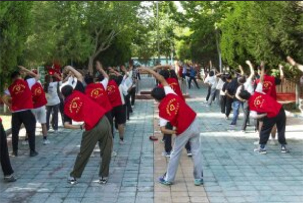 “夏花盛開同筑夢，胡楊相傳創(chuàng)團(tuán)結(jié)”團(tuán)隊福利院社會實踐活動