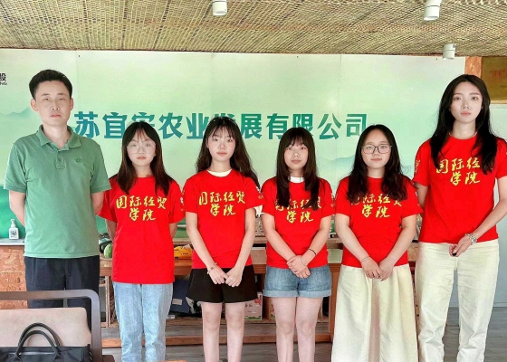 電商助農(nóng)正當(dāng)時(shí)，宜興百合廣傳香