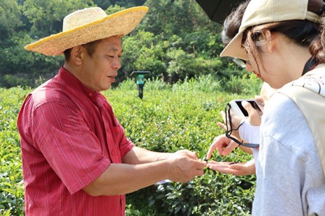 佛山科學(xué)技術(shù)學(xué)院學(xué)子三下鄉(xiāng)：走入連南茶園，助力民族發(fā)展