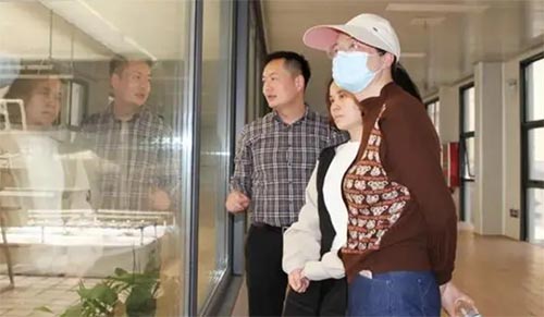 探秘“豆”文化——鄭州市金水區(qū)四月天小學社會實踐活動