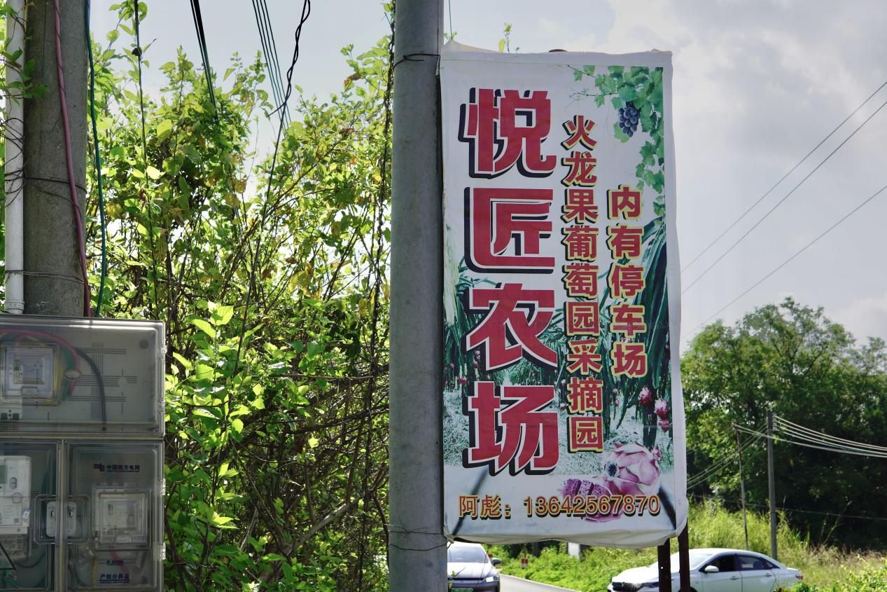 【百千萬(wàn)工程 助力鄉(xiāng)春】挖掘西河農(nóng)業(yè)特色，探尋產(chǎn)業(yè)發(fā)展脈絡(luò)