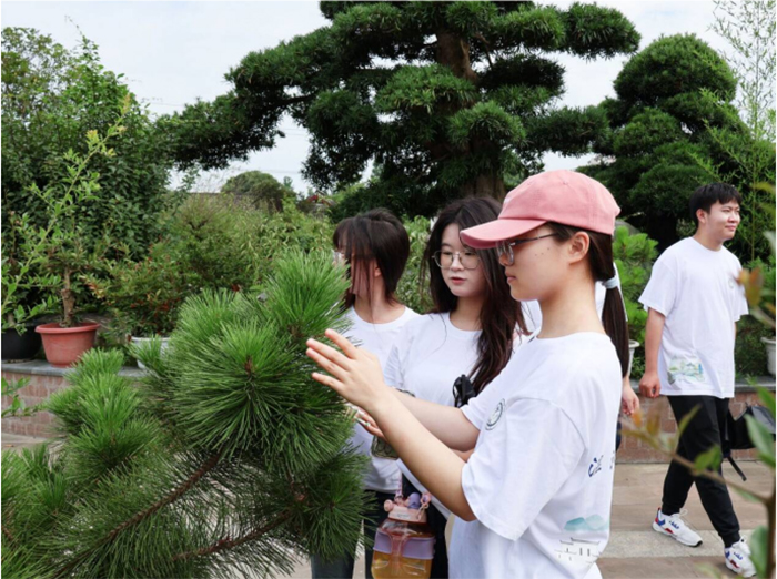 聚焦成都世園會(huì)溫江分會(huì)場，賦能非遺盆景產(chǎn)業(yè)發(fā)展