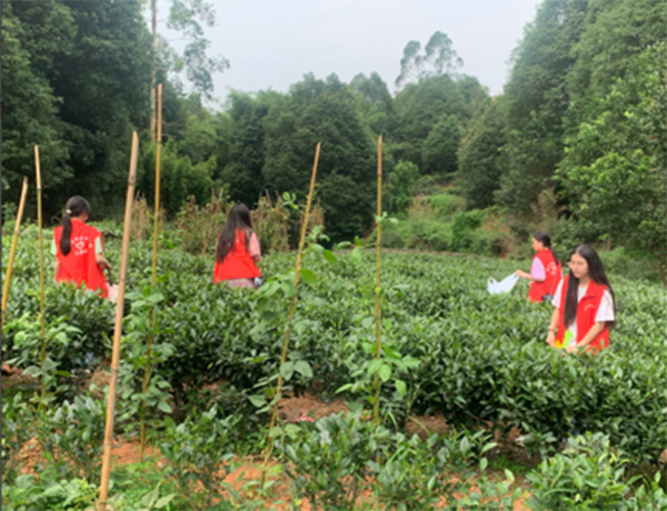 屏山三下鄉(xiāng)活動(dòng)圓滿成功
