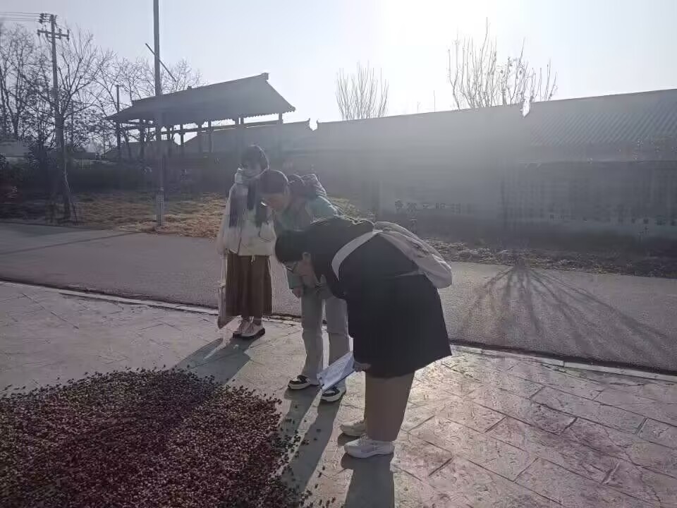 環(huán)境治理——安徽財經(jīng)大學(xué)學(xué)子走訪調(diào)研蚌埠鄉(xiāng)村調(diào)研農(nóng)藥使用情況