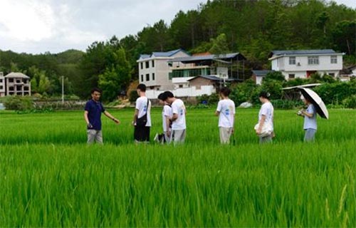 集美大學(xué)“傾潭振汀”實(shí)踐隊(duì)赴長(zhǎng)汀紅色舊址群參觀學(xué)習(xí)、南坑村實(shí)地調(diào)研