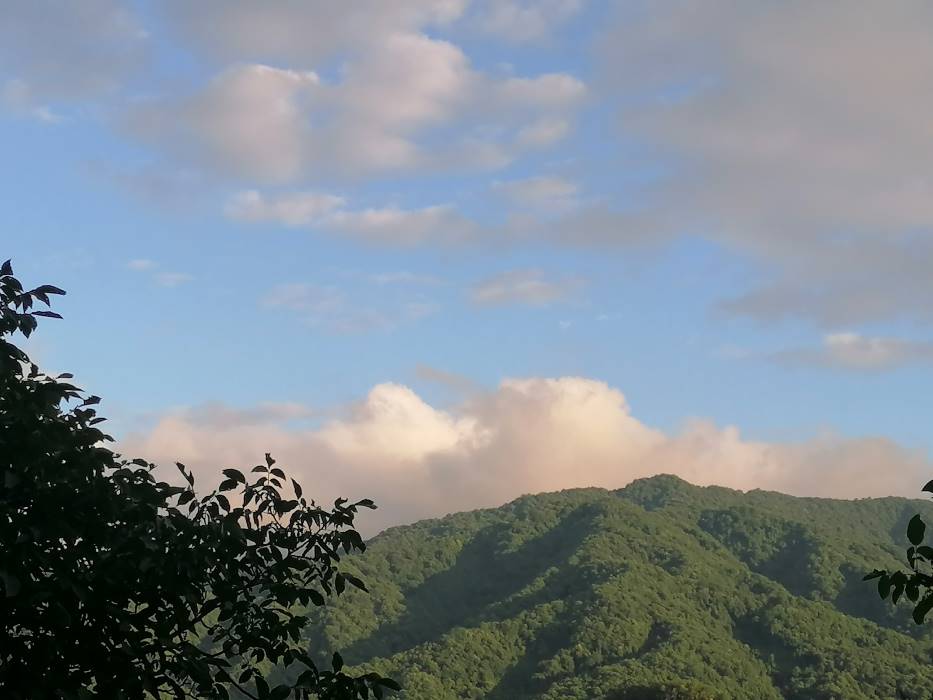 穿梭千年，文物“活”在當下 ——蘇州大學(xué)“哲學(xué)+”實踐團走進天水市仙人崖石窟