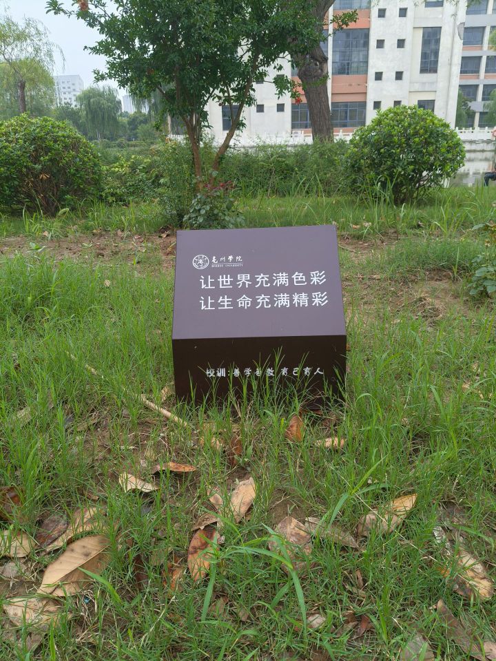 巢湖學(xué)院學(xué)子三下鄉(xiāng)實(shí)踐感悟：走不通的路，就用拳頭來(lái)打開