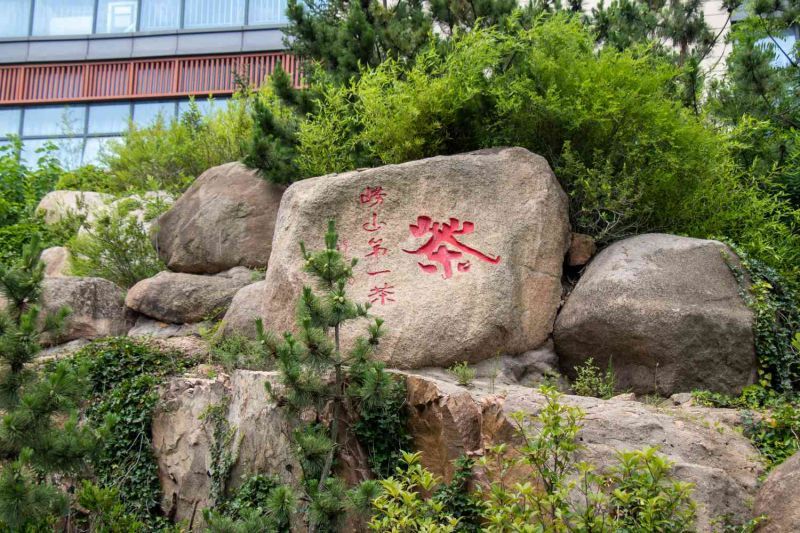 從低碳視角出發(fā)，探討鄉(xiāng)村綠色轉(zhuǎn)型之路-致遠(yuǎn)實(shí)踐隊(duì)心得體會(huì)