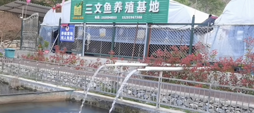 塑造甘南“特色品牌”，擴(kuò)寬群眾增收大道。